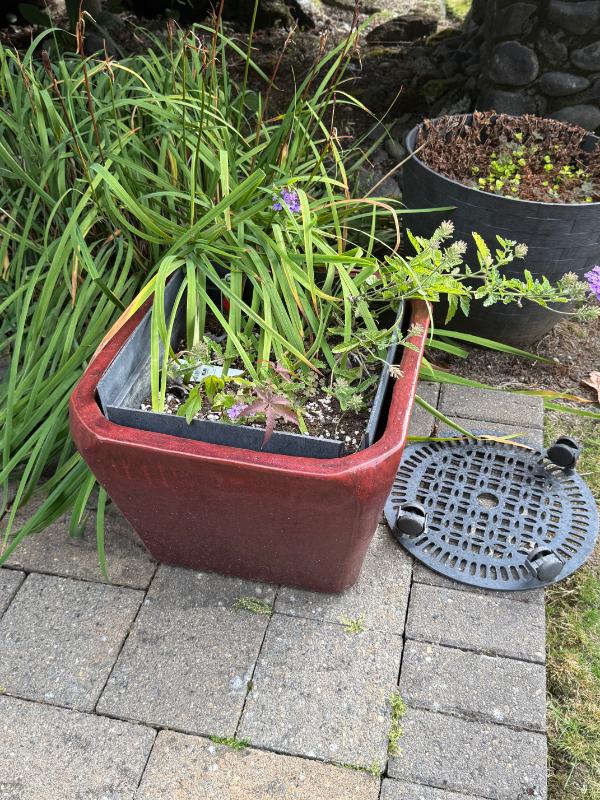 Sale Photo Thumbnail #121