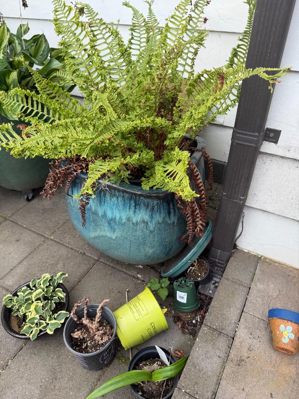 Sale Photo Thumbnail #97