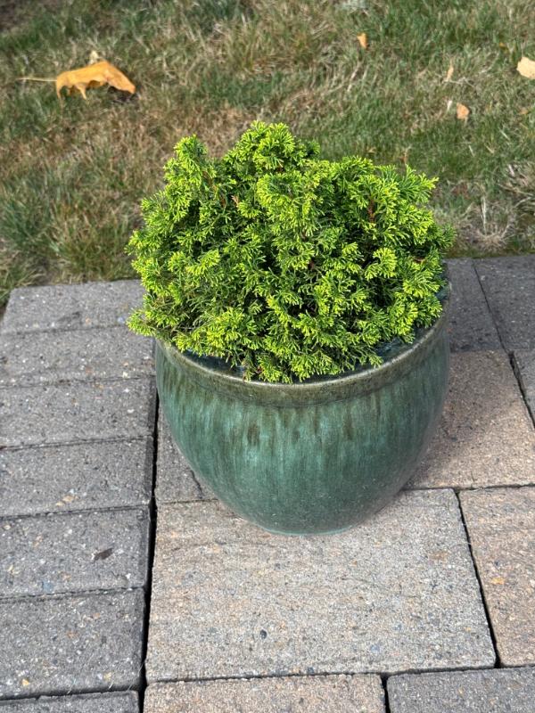 Sale Photo Thumbnail #114