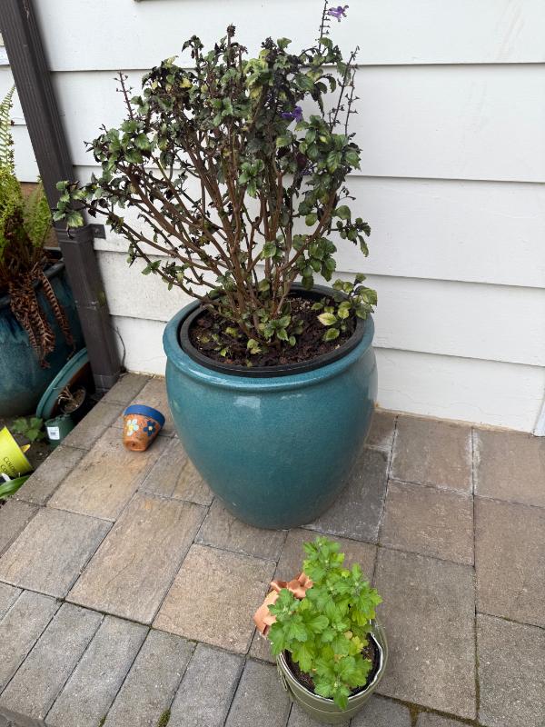 Sale Photo Thumbnail #96