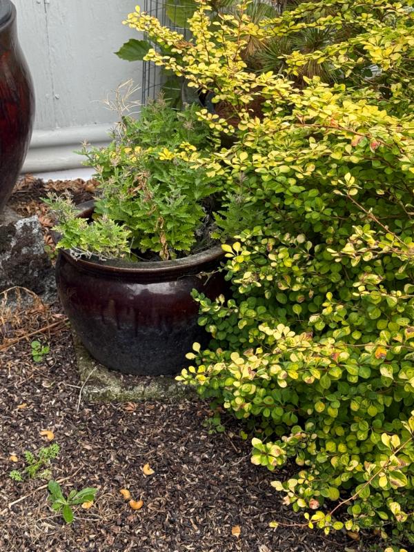 Sale Photo Thumbnail #137