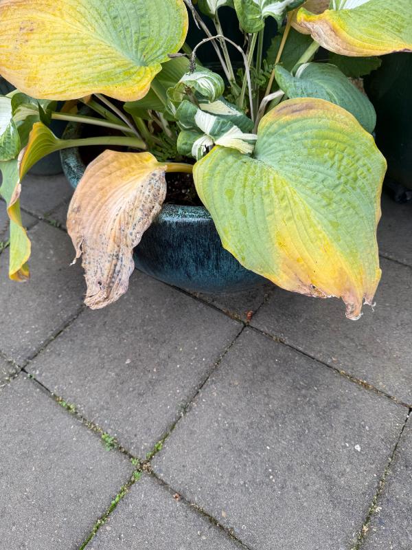 Sale Photo Thumbnail #99