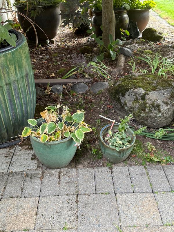 Sale Photo Thumbnail #120