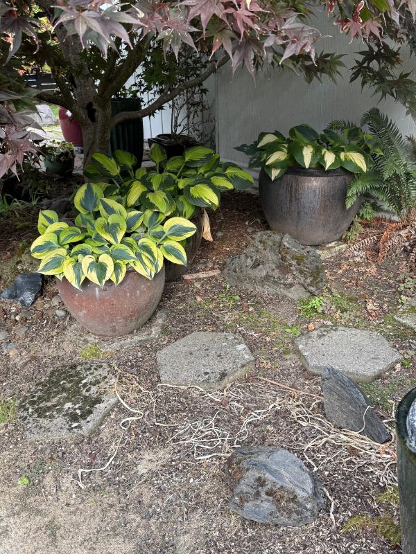 Sale Photo Thumbnail #135