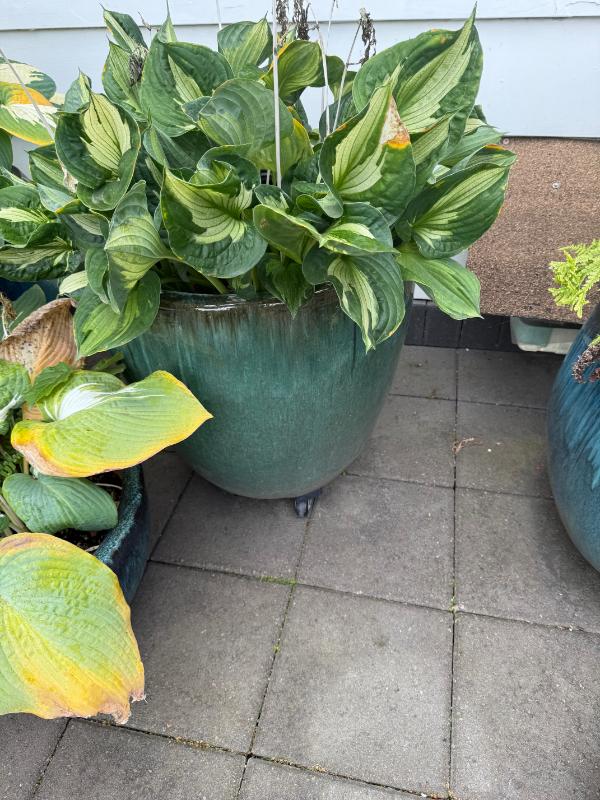 Sale Photo Thumbnail #98