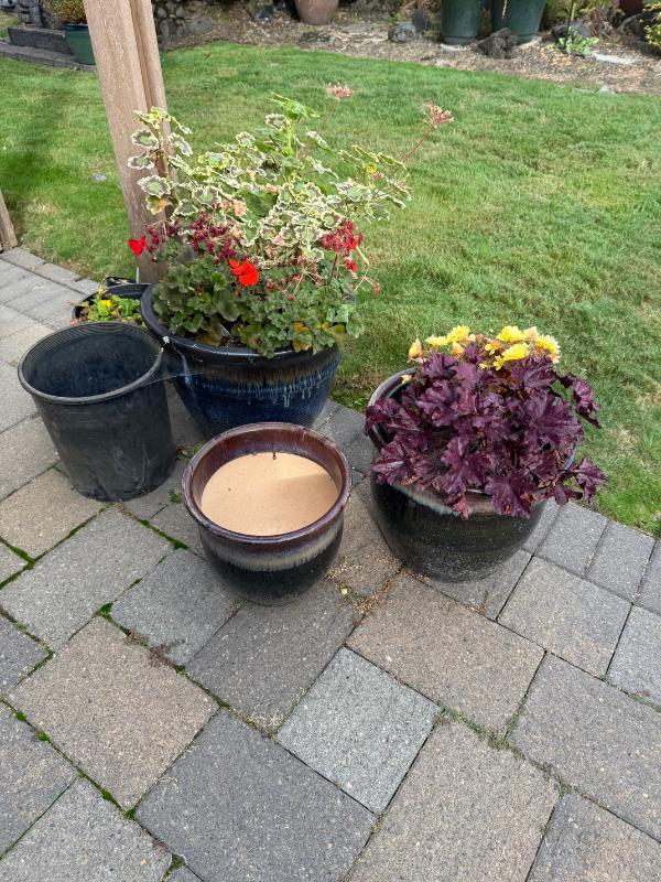 Sale Photo Thumbnail #103