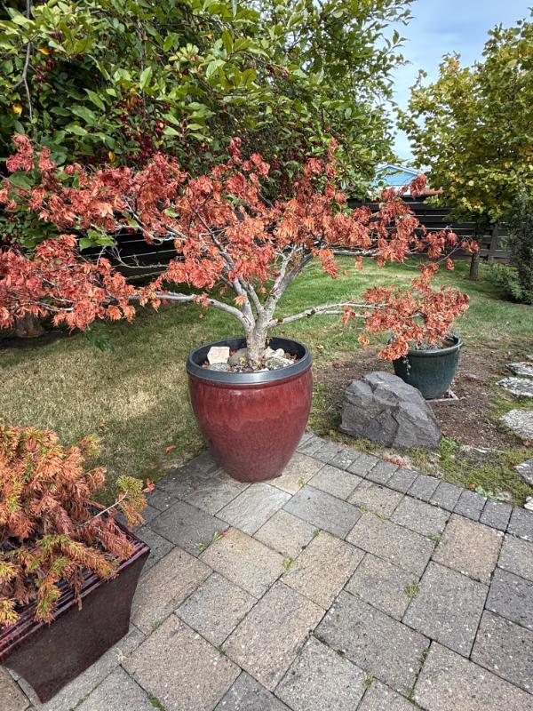 Sale Photo Thumbnail #117