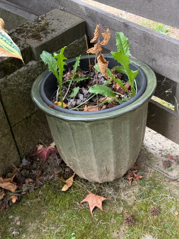 Sale Photo Thumbnail #113