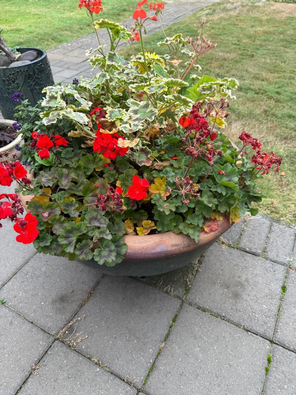 Sale Photo Thumbnail #101