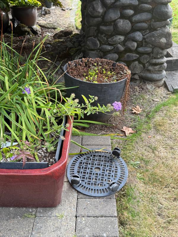 Sale Photo Thumbnail #122