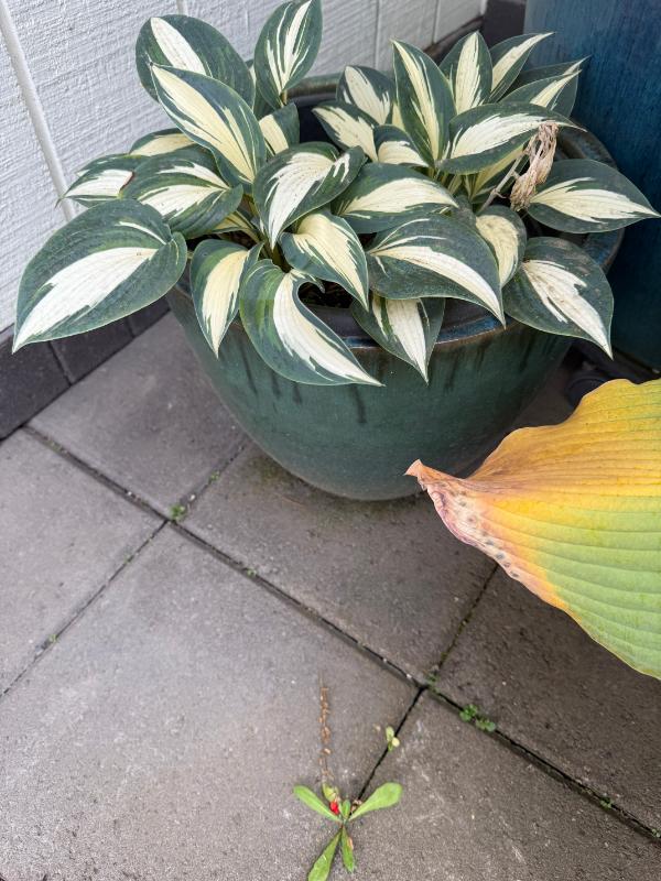 Sale Photo Thumbnail #100