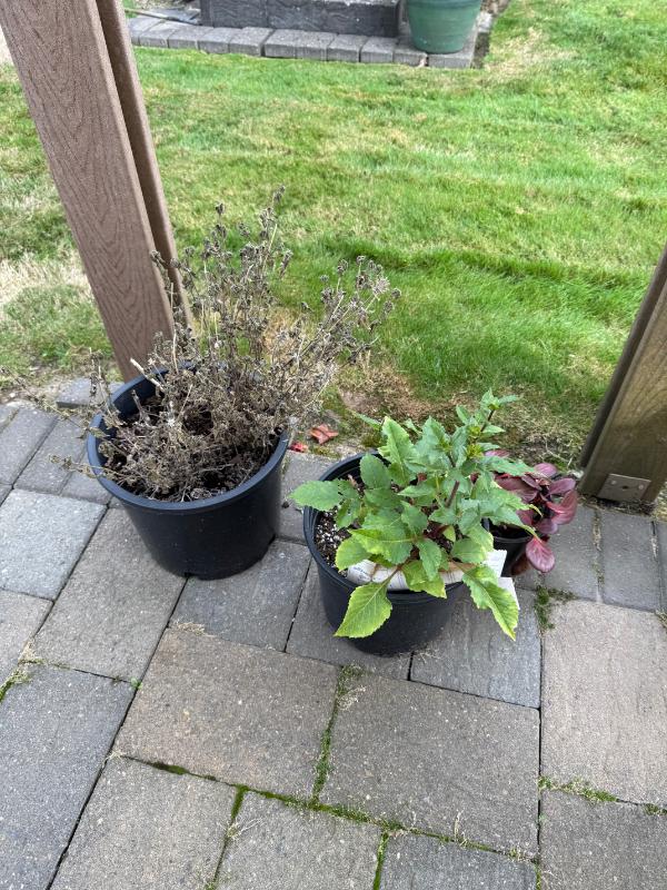 Sale Photo Thumbnail #109