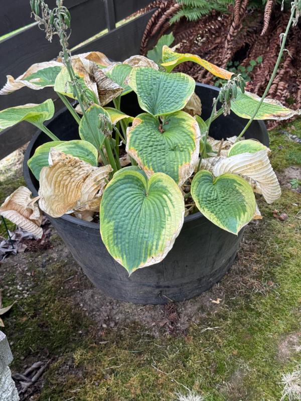 Sale Photo Thumbnail #112