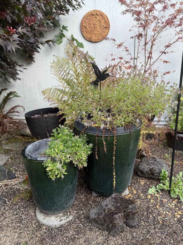 Sale Photo Thumbnail #136