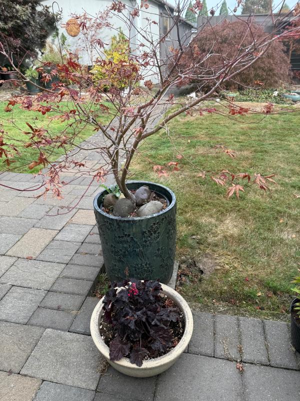 Sale Photo Thumbnail #102