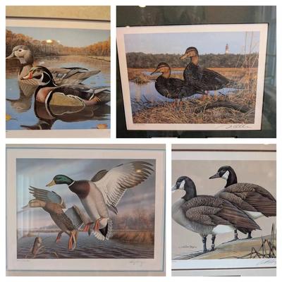 4 VA Waterfowl Stamp & Signed Print Sets