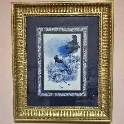 Vintage 'Blue Bird Of Paradise'  PARADISORNIS RUDOLPHI Finsch Matted Print In Ornate Gold Frame