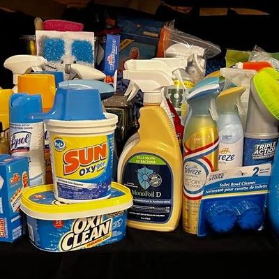 Mystery Cleaning Lot