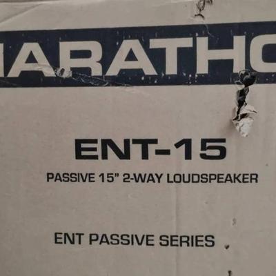 Dw207 marathon ent 15 pa speakers and stands