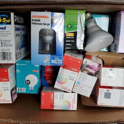 Dw145 lightbulb mystery lot