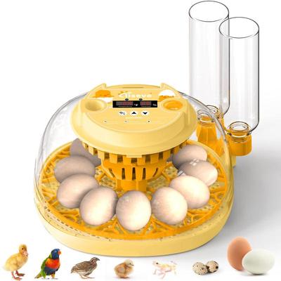 Sale Photo Thumbnail #116