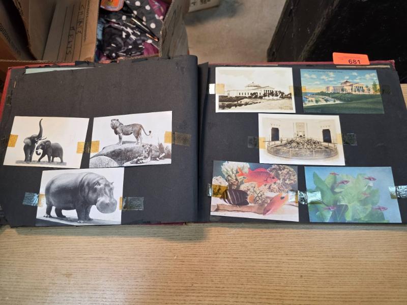 Sale Photo Thumbnail #229