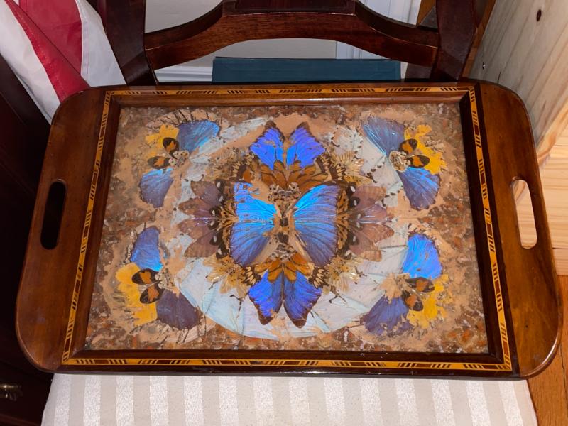 Sale Photo Thumbnail #160