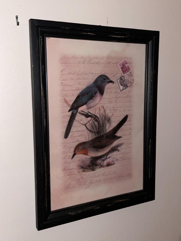 Sale Photo Thumbnail #241