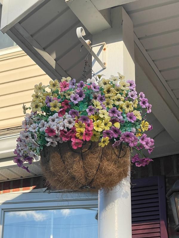 Sale Photo Thumbnail #650