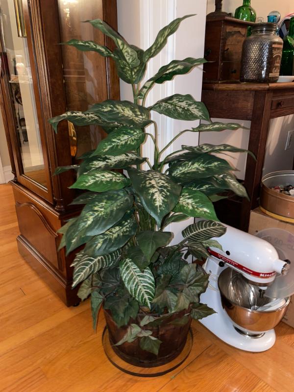 Sale Photo Thumbnail #166