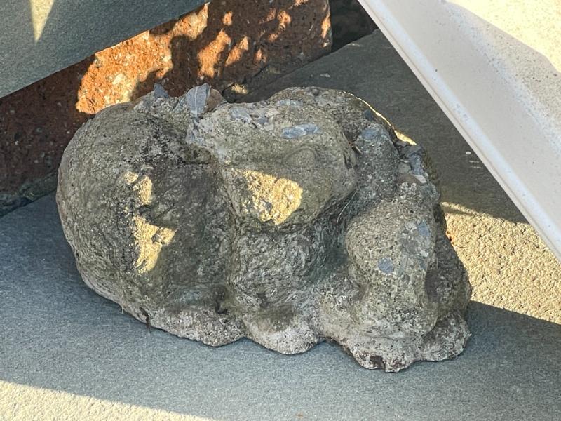 Sale Photo Thumbnail #647