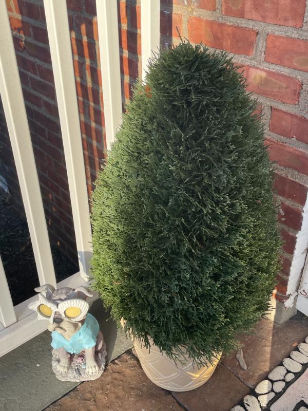 Sale Photo Thumbnail #644