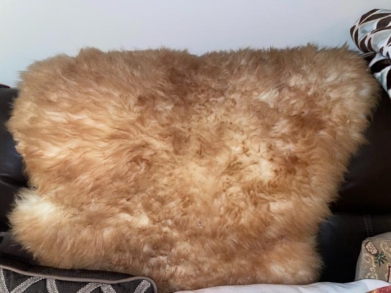 Sale Photo Thumbnail #445