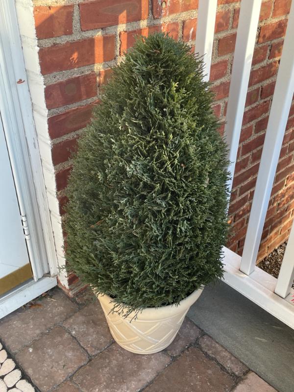 Sale Photo Thumbnail #643