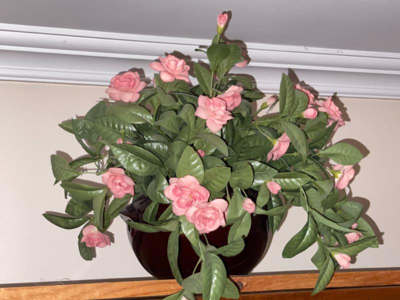 Sale Photo Thumbnail #290