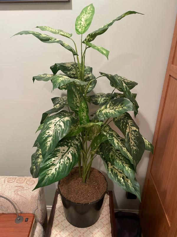 Sale Photo Thumbnail #728