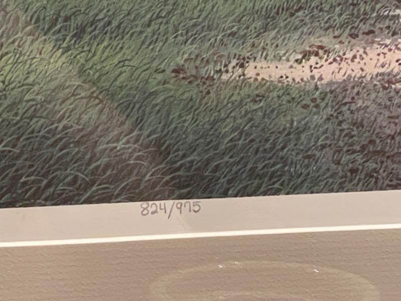 Sale Photo Thumbnail #407