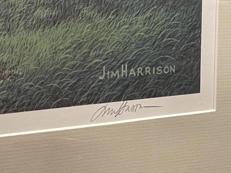 Sale Photo Thumbnail #408