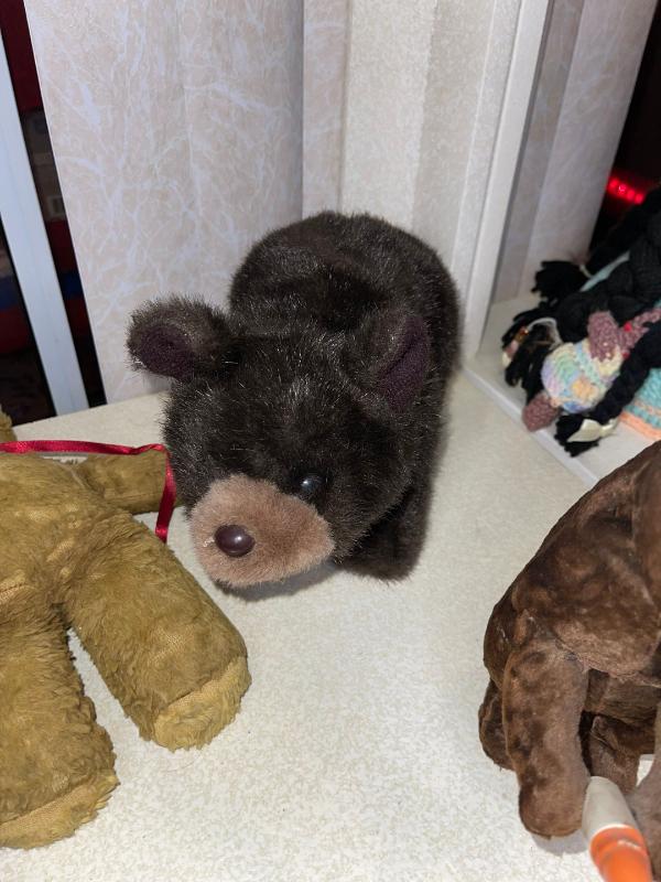 Sale Photo Thumbnail #666