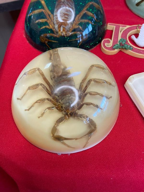 Sale Photo Thumbnail #476