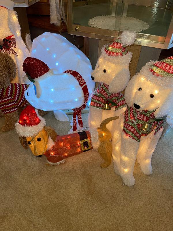 Sale Photo Thumbnail #568