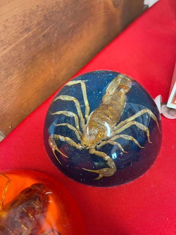 Sale Photo Thumbnail #479