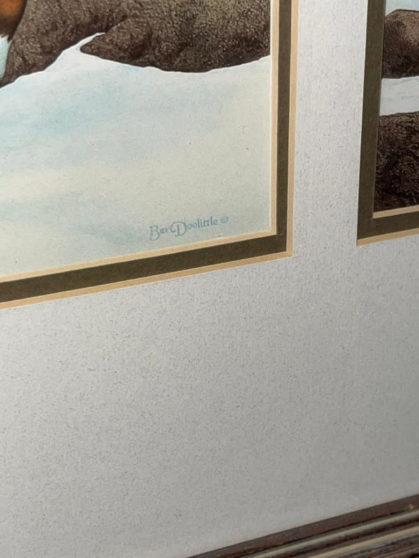 Sale Photo Thumbnail #997