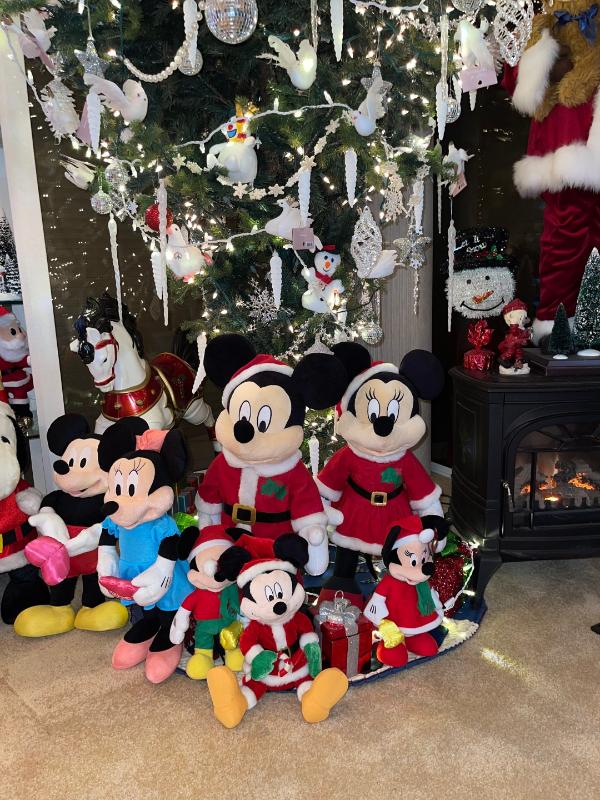 Sale Photo Thumbnail #538