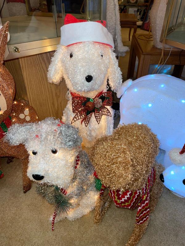 Sale Photo Thumbnail #571