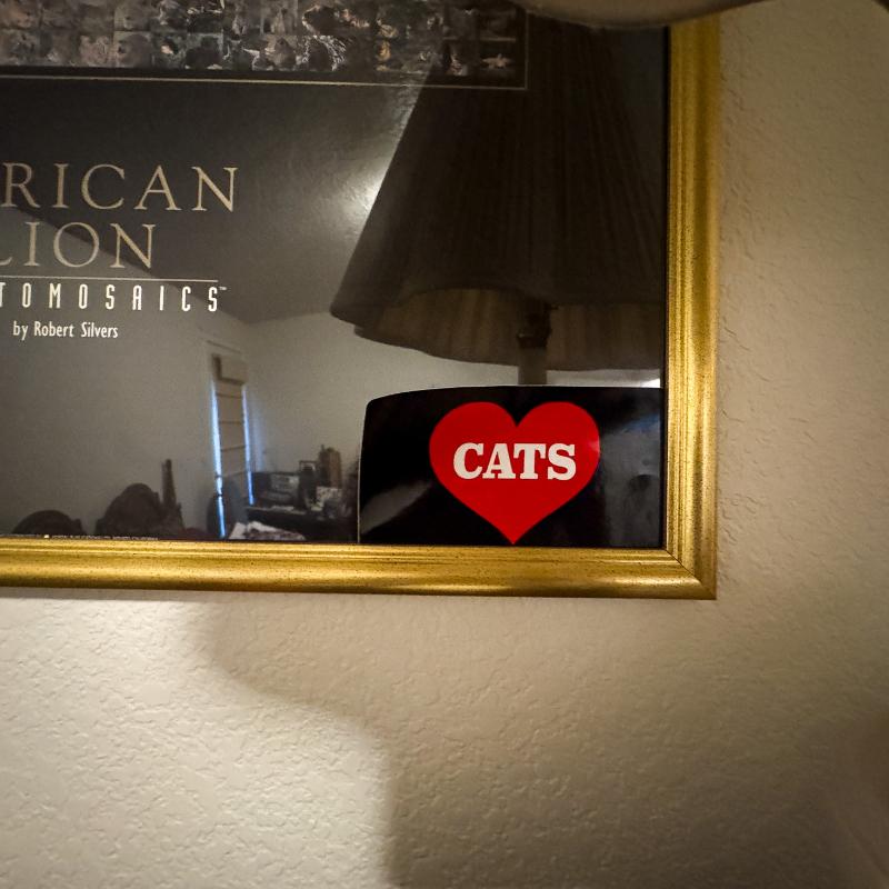 Sale Photo Thumbnail #23