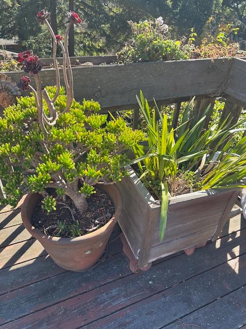 Sale Photo Thumbnail #53