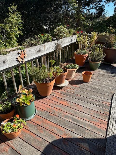 Sale Photo Thumbnail #50