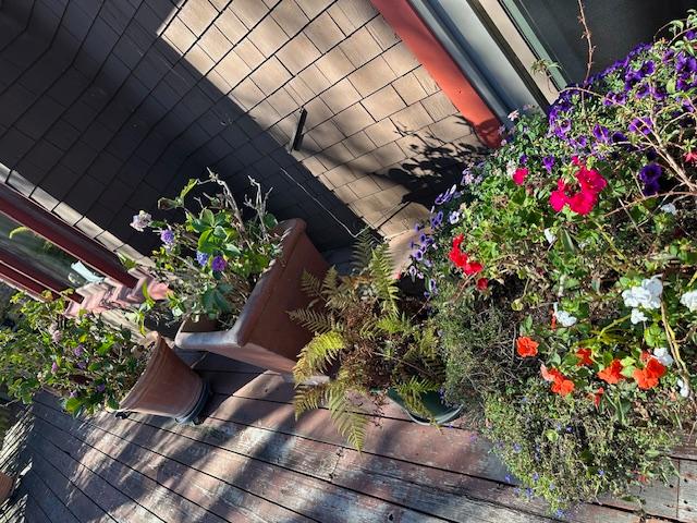 Sale Photo Thumbnail #52