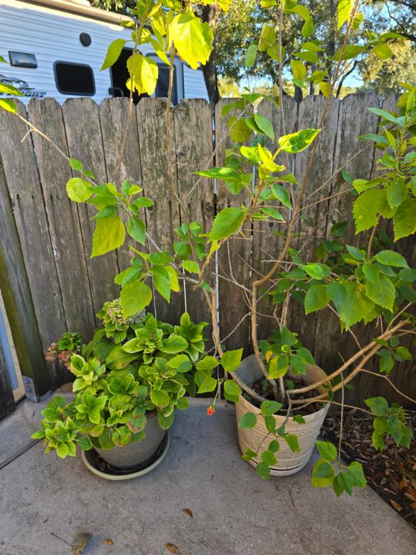 Sale Photo Thumbnail #139